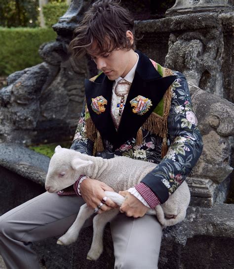 harry styles in italy gucci 2019|Harry Styles Gucci wardrobe.